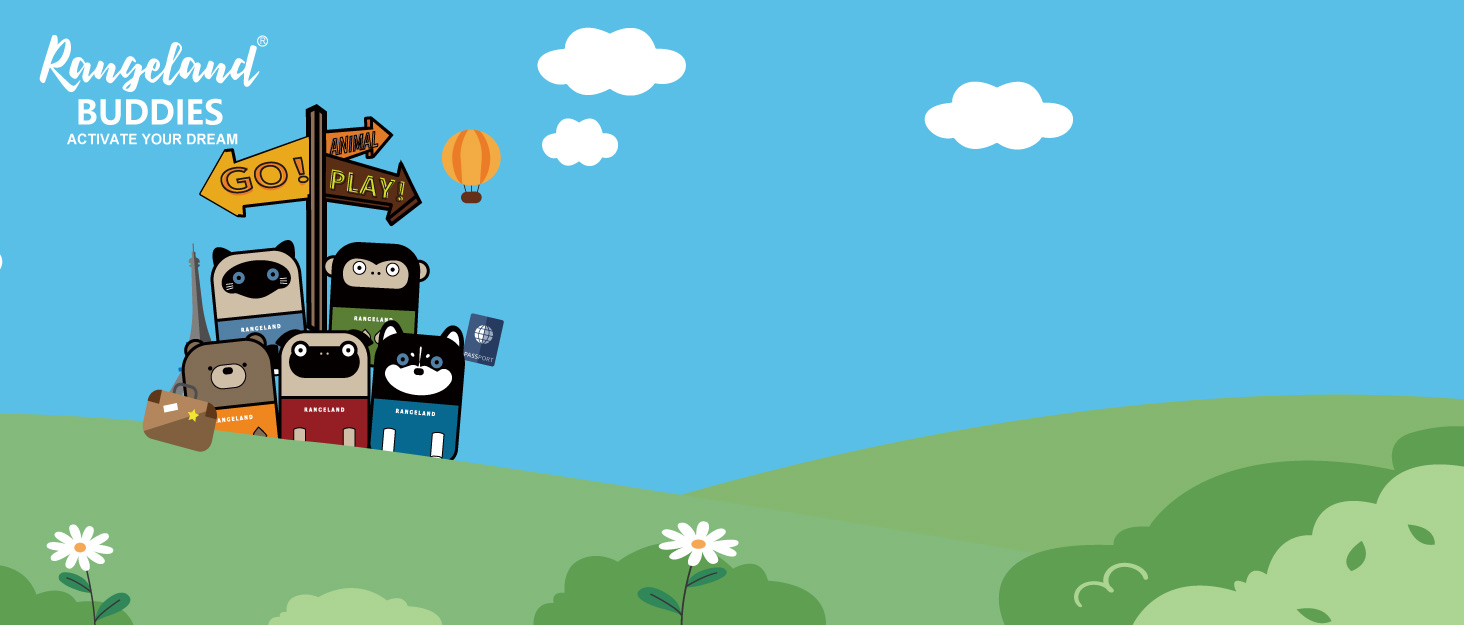 Rangeland Lightweight Travel Backpack Hiking Daypack Laptop