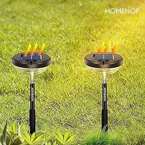 Solar Mashal Lights For Garden Hardoll Solar Light Solar Light For Plants