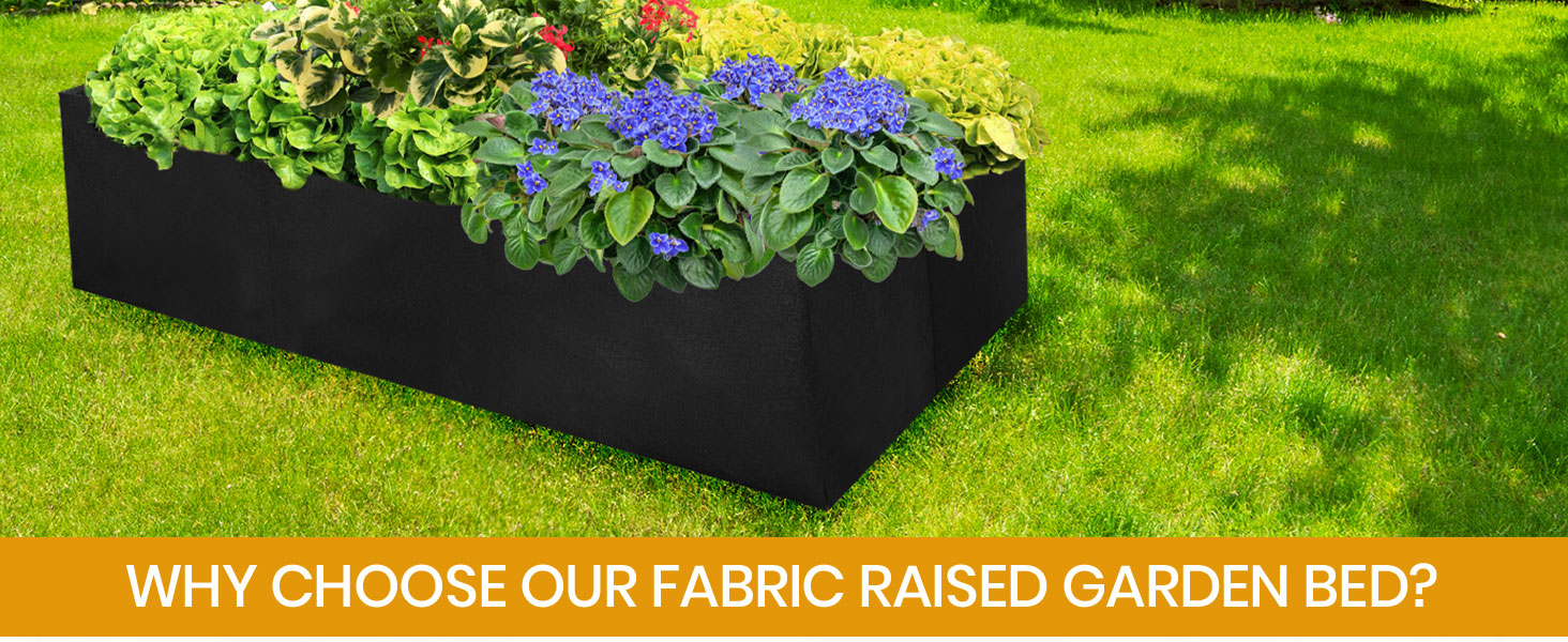 raised garden bed