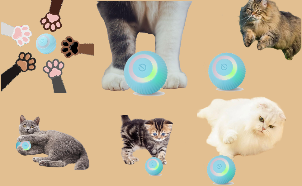 SVIEILLES Guitar Cat Toy,Simulate Your Cat's Hunting Instincts with The