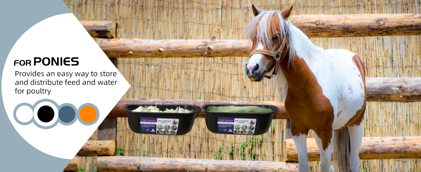 chicken feeder and waterer set