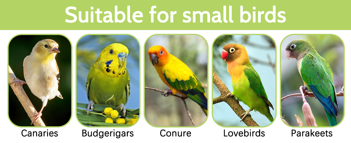 Suitable for most small birds, such as canaries, cockatiels, Budgie, conure, lovebirds, parakeets