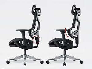 Lumbar Support Adjustment