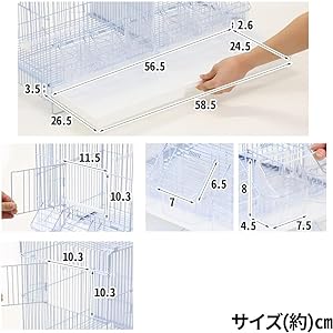 『ハードケース』付属　単板　140 YAMAKI 鳴りは素晴らしいです 木製 一段 ビック 小判型 バンド付き 曲げわっぱ弁当箱 20CM