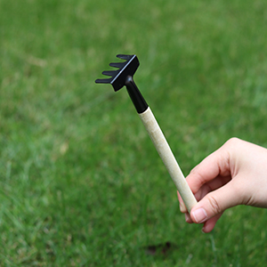 Ideal für Setzlinge.