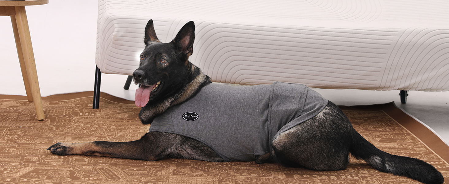 calming vest for dogs