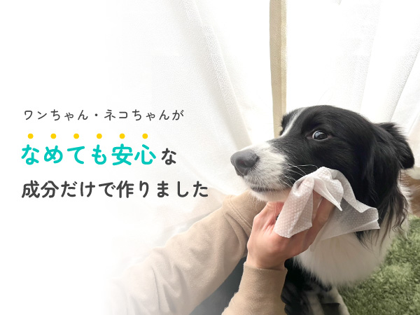 犬用 おしりふきケース 猫デザイン 犬用 おしりふきケース 猫デザイン 楽天市場】ペット用 ウェット