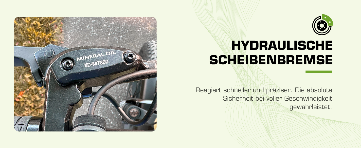 e fahrrad herren