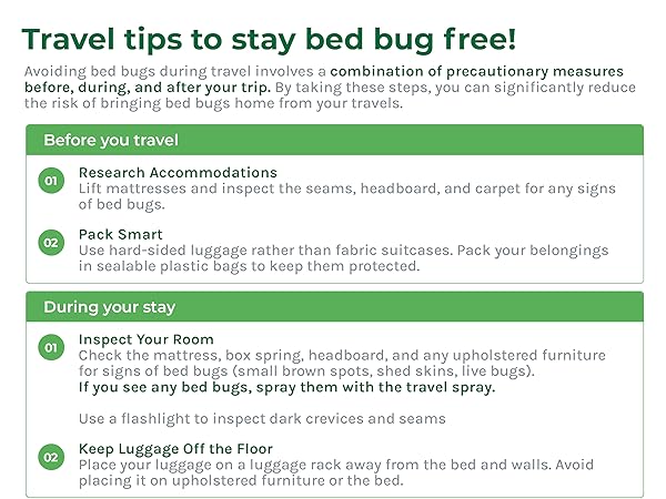 Bed Bug Services