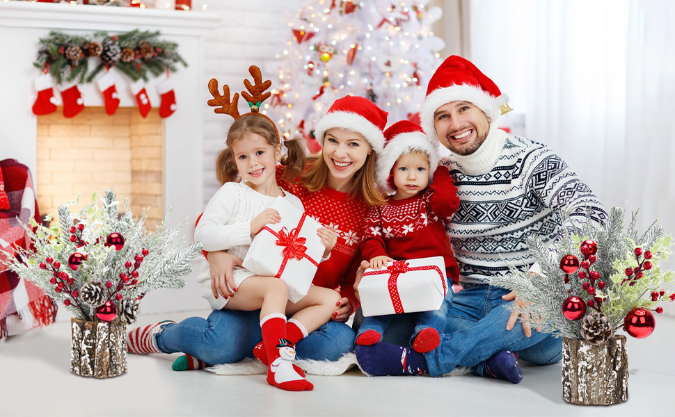 2Pack Small Christmas Tree