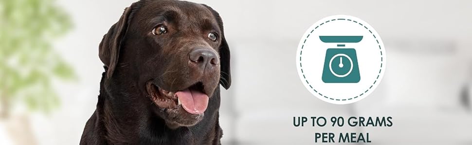 Automatic Pet Dog Cat Feeder