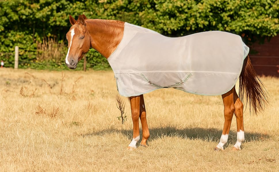 horse fly sheet