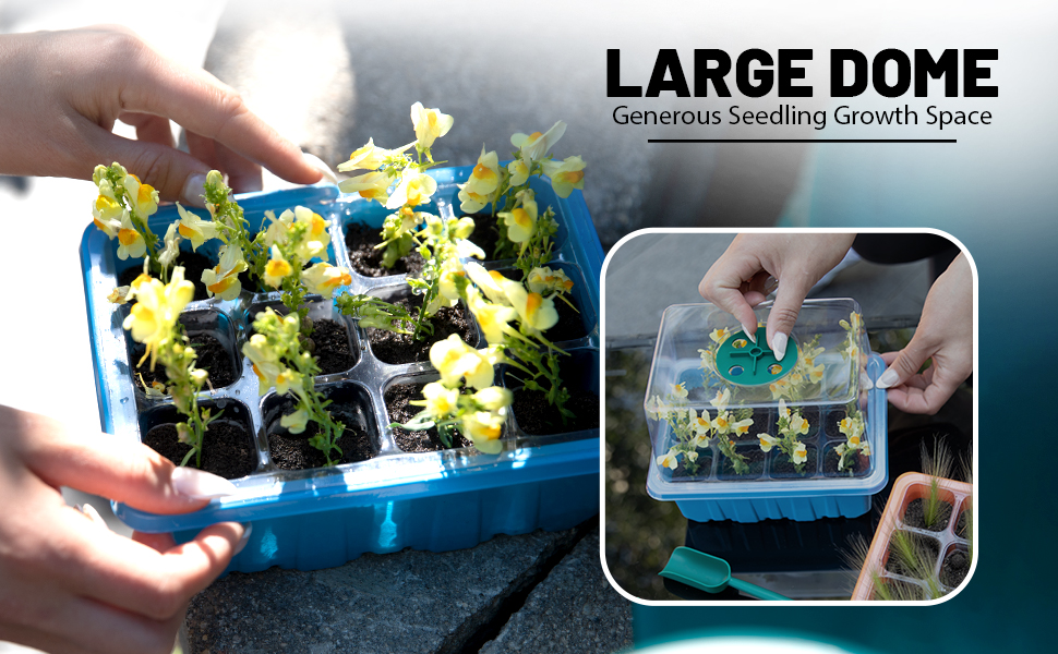 seedling trays plastic dome