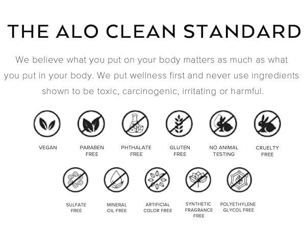 the clean standard alo yoga
