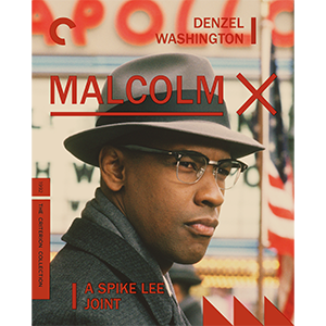 Malcolm X cover art