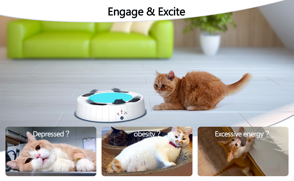 PKNOVEL Cat Kitten Toys, Interactive Cat Toy with Simulate