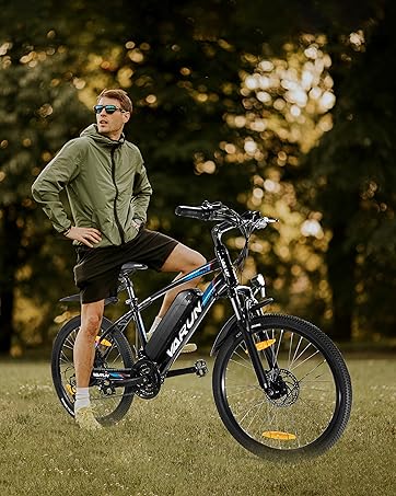 ebike