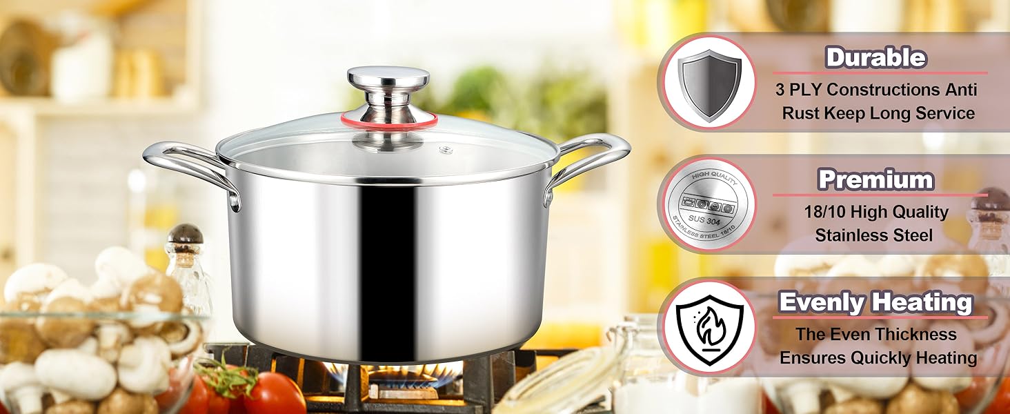 Stainless Steel Stockpot
