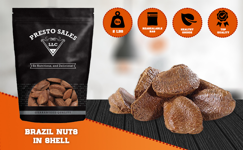 Brazil Nuts, In shell Polished Large 32 oz., Raw, Brazil