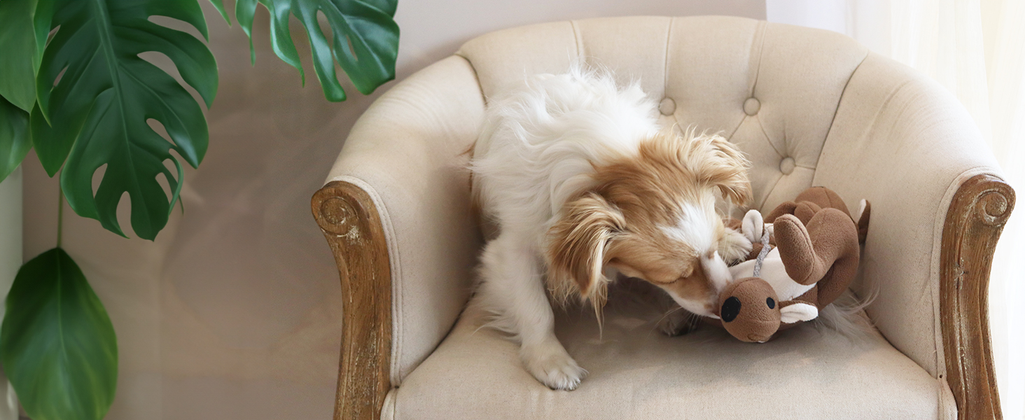 Injoya Joey Pouch Snuffle Toy for Dogs, Interactive Dog