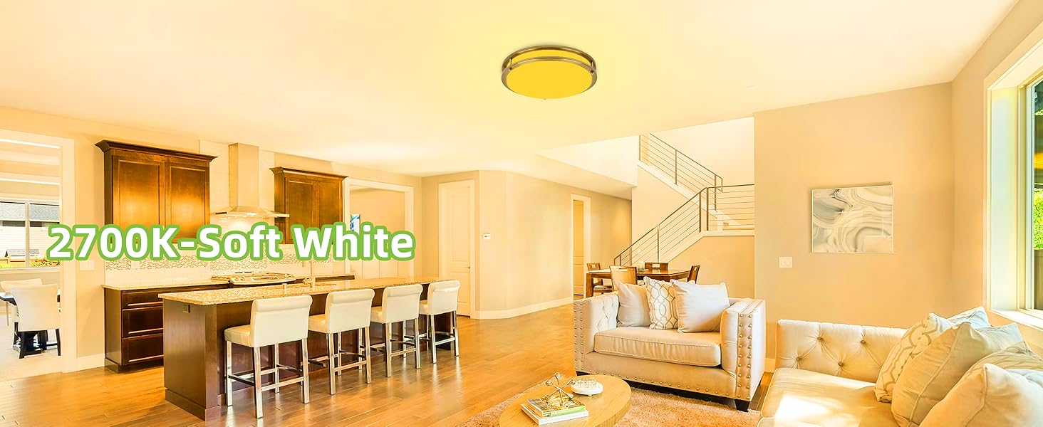Flush Mount LED Ceiling Light Fixture