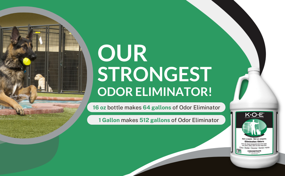 Thornell KOE Kennel Odor Eliminator Concentrate, Odor