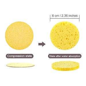 compressed facial sponges