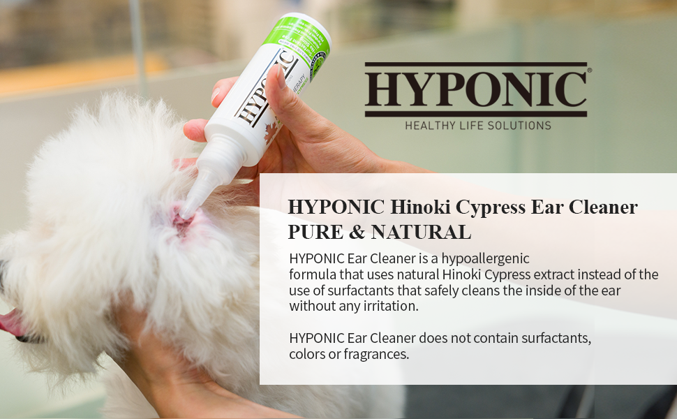 HYPONIC Premium NoSting Hinoki Cypress Ear Cleaner for