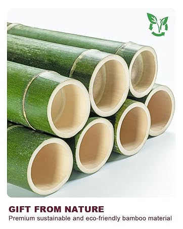 bamboo