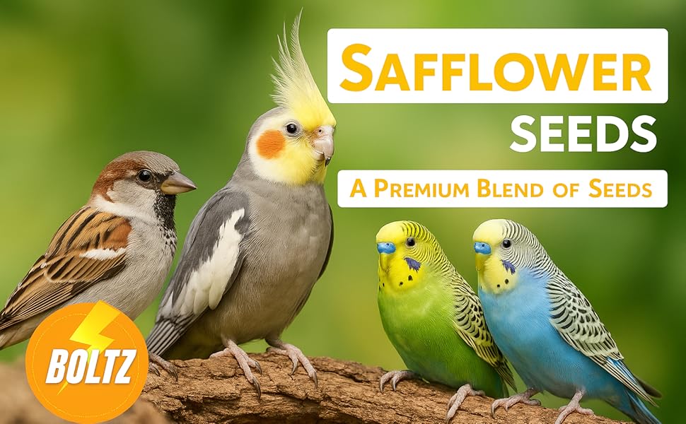 boltz safflower seeds for birds