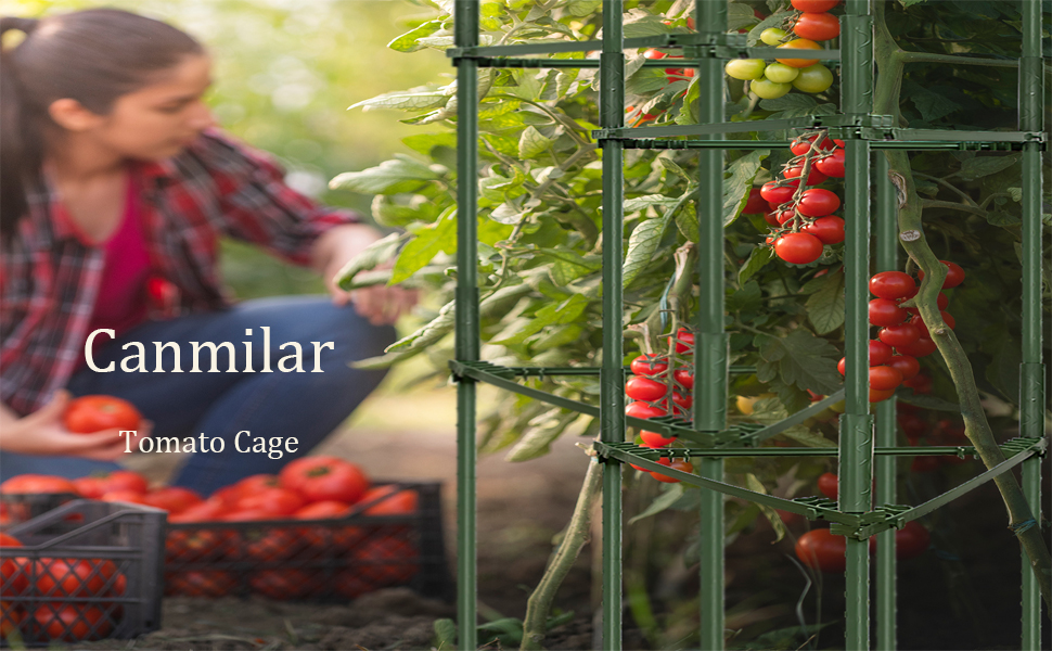 Tomato cage