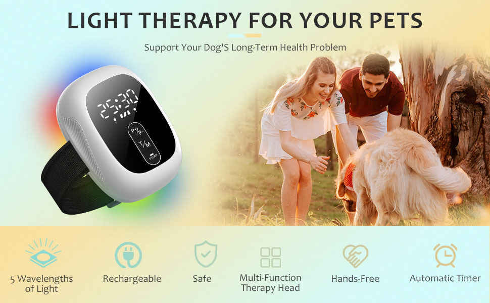 pet laser therapy