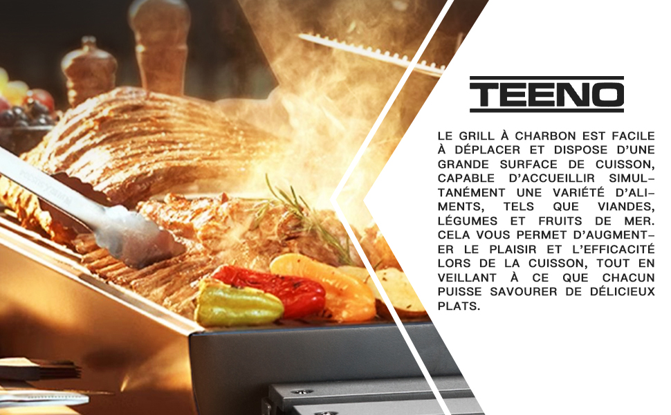 barbecue charbon de bois