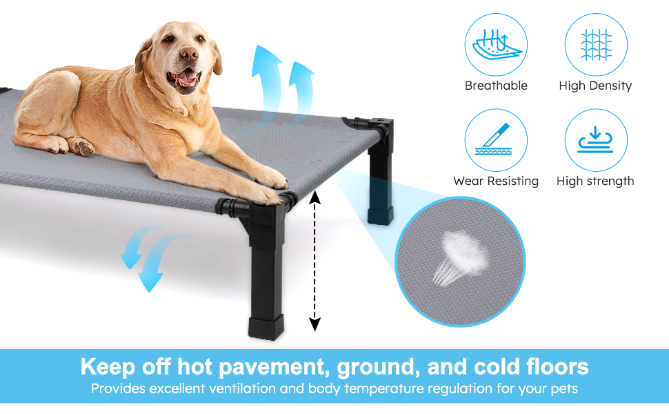 Heeyoo Cooling Raised Pet Cot for Summer Use
| Heeyoo Chew Proof Washable Dog Bed for Comfortable Rest
| Heeyoo No- 35afcc56 281c 443b Ac8d 926211c140dd. CR0,0,970,600 PT0 SX970 V1
