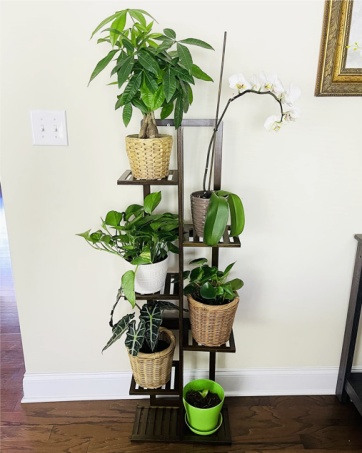 plant stand