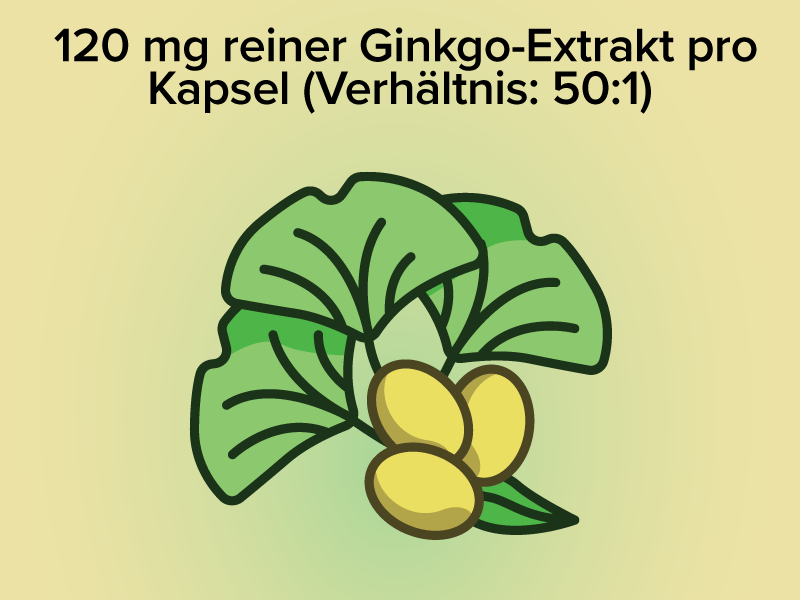 120 mg reiner Ginkgo Extrakt