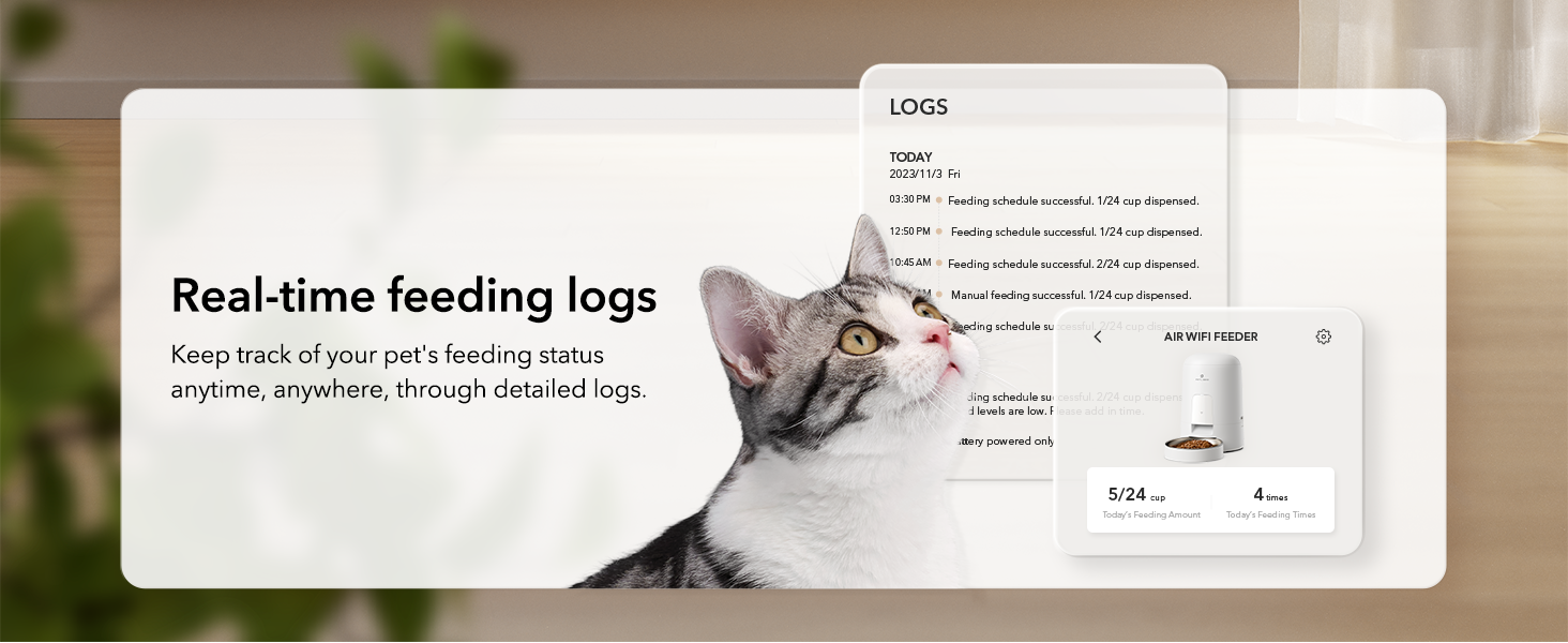 alimentador automático para perros