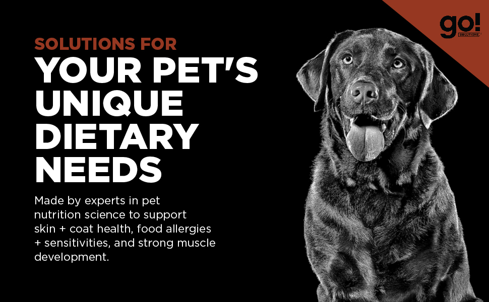 Solutions for your pet's unique dietary needs
