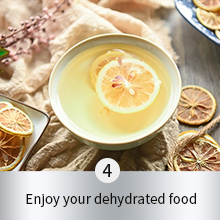 Food Dehydrator Machine