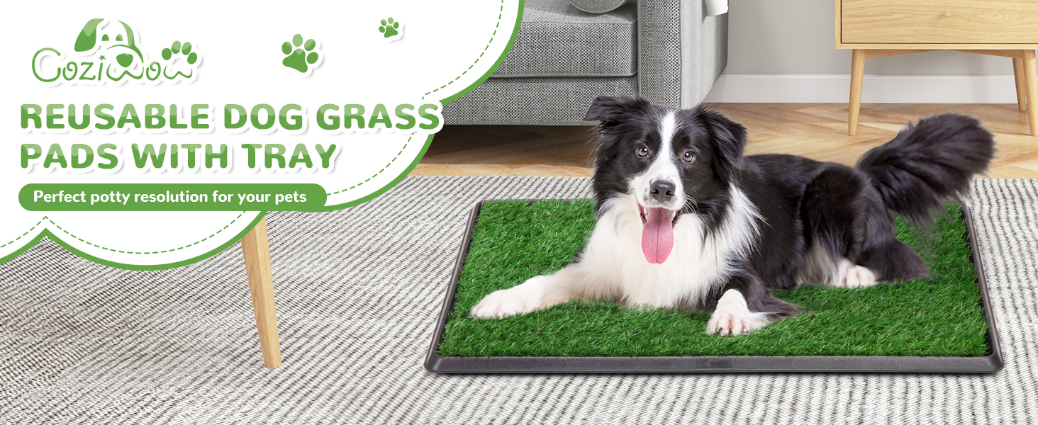 dog grass pad with tray