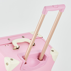 Adjustable Height Retro Carry-on Luggage