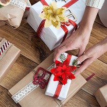Christmas Poinsettia Flowers