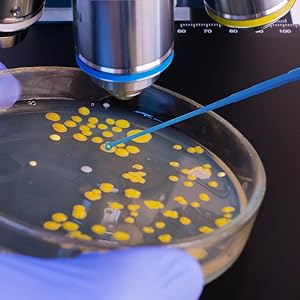 Small manufacture image 2