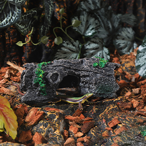 Safe for long-last use