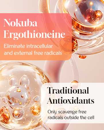 L-Ergothioneine supplements Mushroom Extract  Oyster Mushrooms Collagen Peptides Oyster Mushrooms