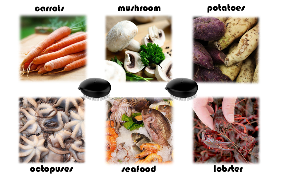 dots scrub gaps remove soil crevices veggie brush