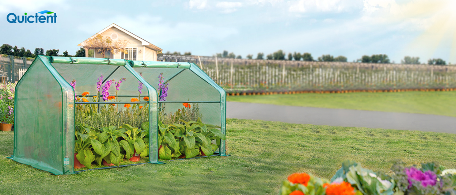 Brand Story mini greenhouse