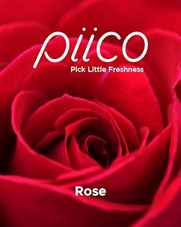 flavored floss picks rose