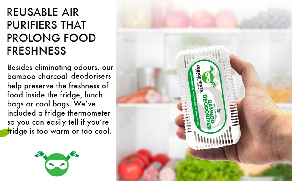 Reusable fridge, refrigerator, freezer and lunch box air purifier to prolong food freshness