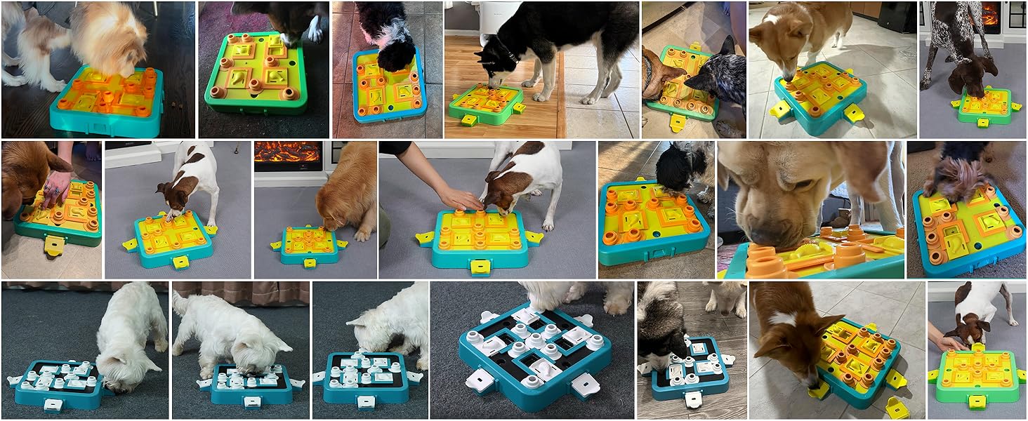 Dog Puzzle Toy